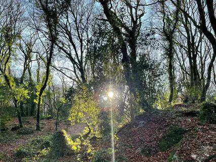 Meditating Through The Senses