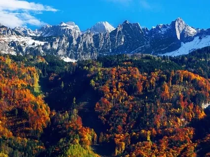 Meditating With The Angels