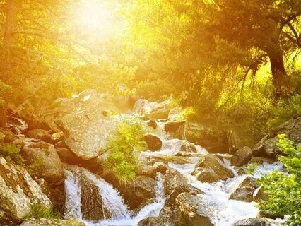 Meditating With The Five Elements In The Body