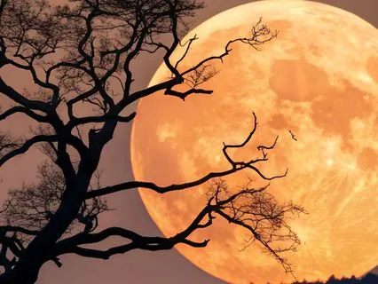 Meditating With The Super Moon