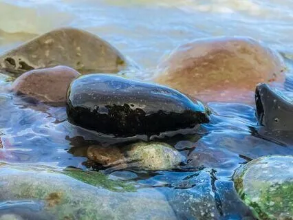 Meditating With Water