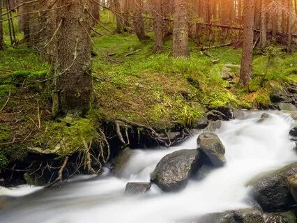 Surrendering The Need To Try So Hard