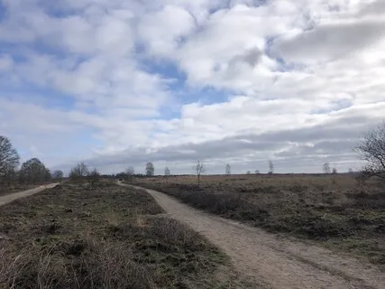 Meditation About Gratitude