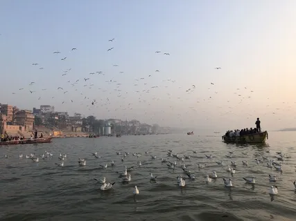 Meditation About Trust