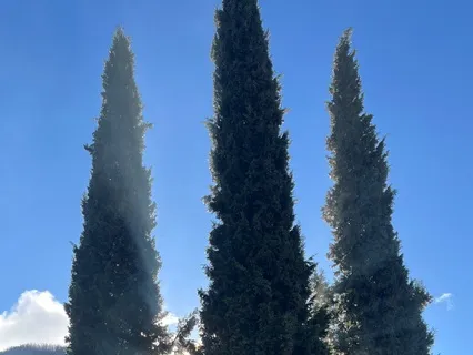 Meditation Affirmations