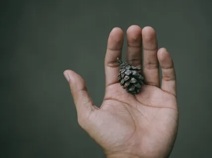 Cultivating A Meditation Practice After Rape Or Assault