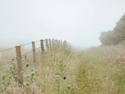 Meditation After The Work Day