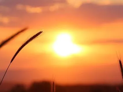 Meditation: Align With Higher Frequencies