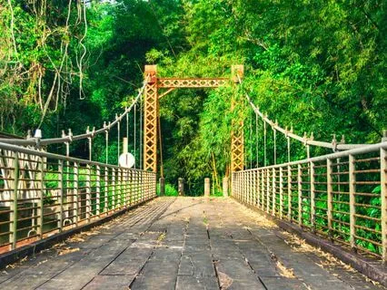 Meditation Aligning To The Energies of 2024