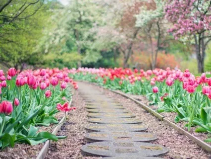 Gentle Meditation & Affirmations – Exploring Letting Go