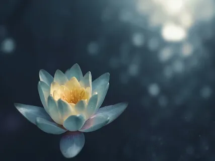 Meditation & Breathing For Anxiety