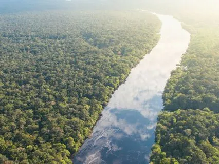 Meditation And Compassion