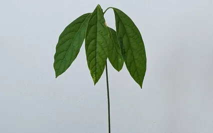 Meditation & Me - A Poem On Meditation