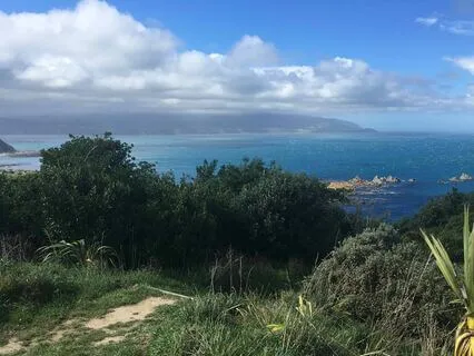 Meditation And Pranayama For Alleviating Stress And Anxiety