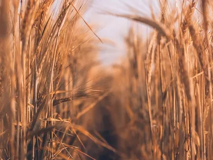 Meditation & Prayer On Prosperity