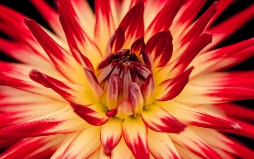 Meditation & Reiki Activation For Inner Clearing