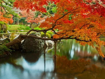 Meditation & Relaxation: Law Of Attraction For Success, Personal Motivation & Goal Achievement (+ Binaural Beats & Nature Sounds)