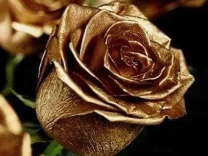 Relaxation Music For The Unique Times Of Covid-19