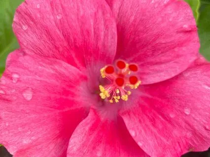 Meditation And Sound Bath For Heart Healing And Self-Love