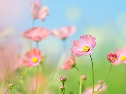 Meditation And Talk On How To Let Go