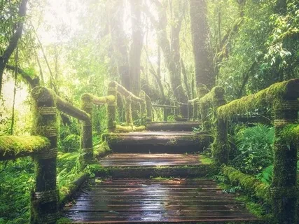 Meditation 101 | Foundations Of Meditation & Mindfulness (1/3)   