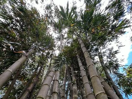 Meditation And Visualization For Confidence