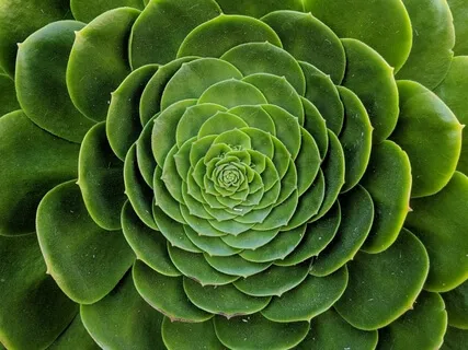 Meditation As An Act Of Love