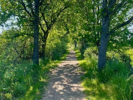 Meditation As Self Care