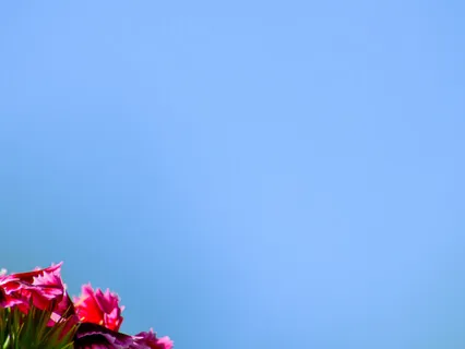 Meditation - Ask & Receive