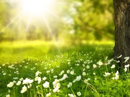 Meditation Background Flute