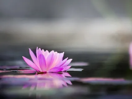 Meditation Basics: Body Steadiness