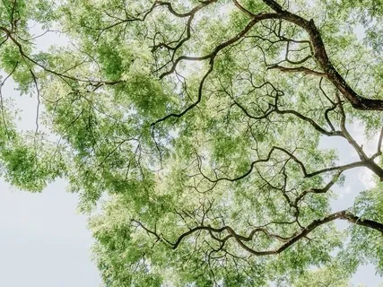 Being Free In This Moment