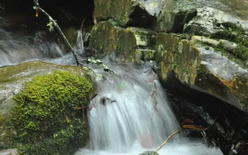 Meditation: Breath As An Opening To Mindfulness