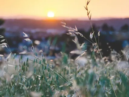 Meditation & Breathwork: 5 Minutes To Just Be