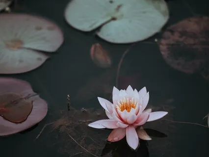 Meditation: Chakra Attunement