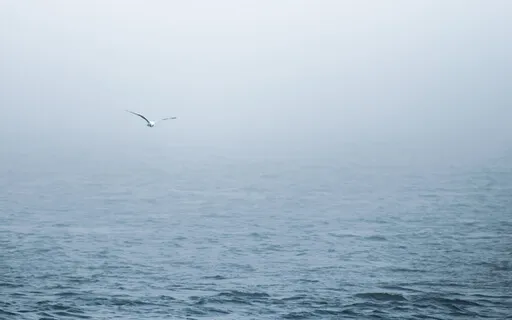 Meditation Challenge Day 11 Of 14