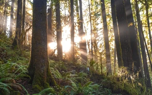 Meditation Challenge Day 3 Of 14