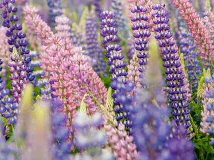 Meditation & Conscious Breath To Reconnect To Divine Love