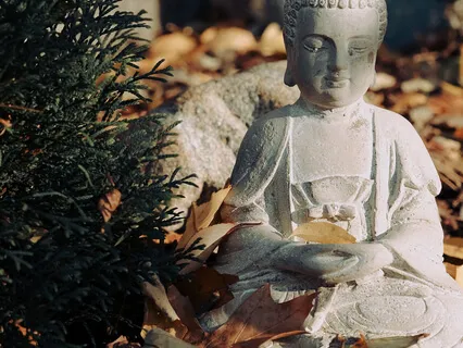 Meditation Continues Until Meditation Takes Over The Mind