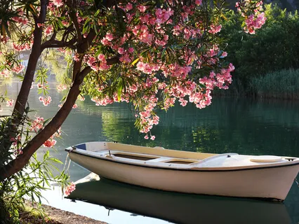 Meditation During An Extraordinary Time (Session 1 Of 50)