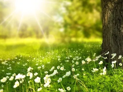 Meditation Dynamics, The Power Of Spoken Word