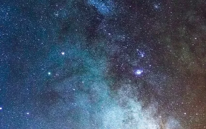 Meditation: Extending Kindness To All Beings