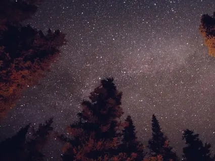 Fear Or Love - Connect With Your Inner Child