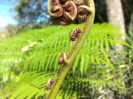 Meditation - Focus On Your Breath