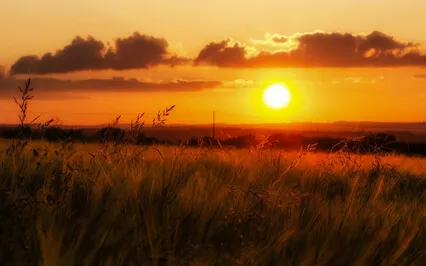 Meditation For A Blocked Root Chakra