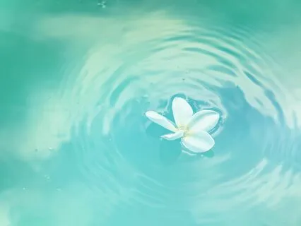 Meditation For A Busy Mind