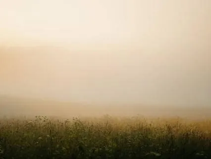 Meditation For A Calm Mind After Social Interactions