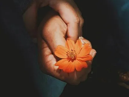 Meditation For A Full & Meaningful Life