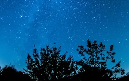 Meditation For A Healthy Body & Metabolism Before Sleep