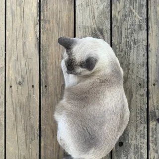 Meditation For A Hurting Heart